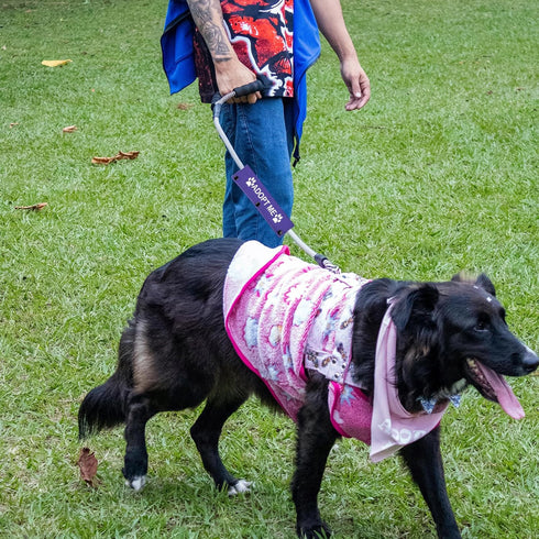 Rescue Dog Leash Sleeve Wrap, Adopt Me Pet Adoption Patch