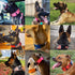 2-Inch Wide Tactical Dog Collar with Control Handle, Adjustable for Medium & Large Dogs, Military Style with Name Plate