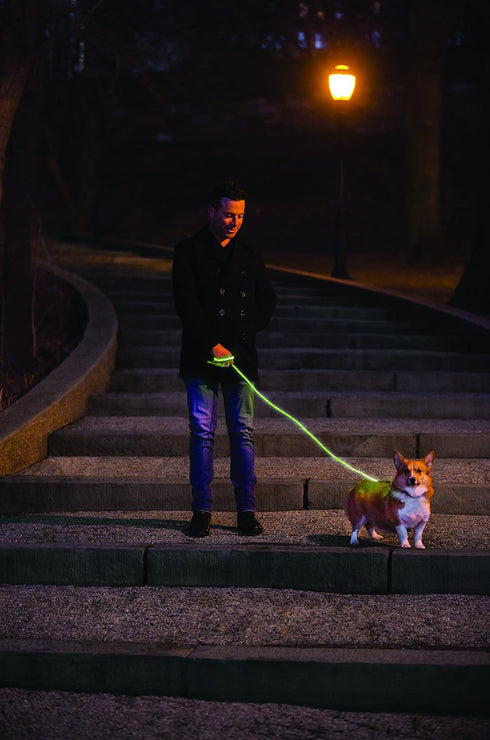 Nitey Leash, LED Glow in The Dark Pet Dog Leash (Green)