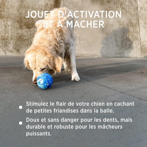 2-in-1 Hevea Planet Ball Dog Activition & Fetch Toy - Natural Rubber Throw Toy - Tested and Safe Dog Treat Ball