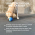 2-in-1 Hevea Planet Ball Dog Activition & Fetch Toy - Natural Rubber Throw Toy - Tested and Safe Dog Treat Ball