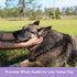 Recommended 90 Count Ark Naturals Gray Muzzle Brain's Best Friend Vet Soft Chews for Cognitive Issues Associated