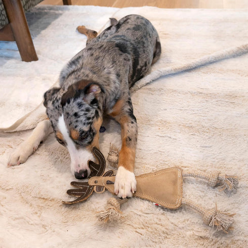 SPOT Dura-Fused Leather Forest Animals Dog Toy with Squeaker and Rope Limbs, 14in, Assorted Styles