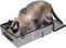 SPORT PET Large Portable Pop Open Kennel - Waterproof Cat Cage with Travel Litter Collection