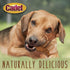 Cadet Gourmet Duck Jerky Dog Treats, Healthy & Natural Duck Dog Training Treats, Inspected & Tested in USA