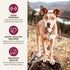 Only Natural Pet MaxMeat Holistic Air Dried Dry Dog Food, All Natural, High Protein, Grain Free, Beef with Pumpkin &