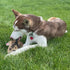 SPOT Dura-Fused Chunkies Fox Dog Toy - All Natural Leather and Felt, Durable Extra Thick Chew Toy for Aggressive