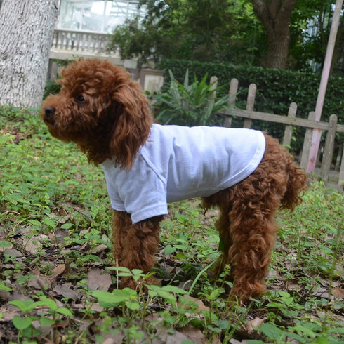 Lovelonglong Pet Clothing Basic Blank T-Shirt Tee for Small Dogs - White, Size L
