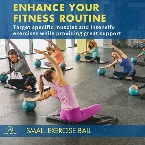 ProBody Pilates Ball - Small Exercise Ball w/Pump, 9 Inch Barre Ball for Stability, Fitness, Ab, Core, Physio