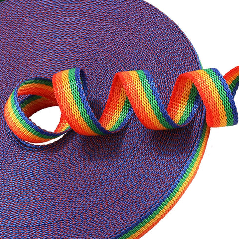 Hi Kiss Dog/Puppy Obedience Recall Training Agility Lead, 15ft 20ft 30ft 50ft 100ft Training Leash (30 Feet, Rainbow)