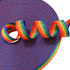 Hi Kiss Dog/Puppy Obedience Recall Training Agility Lead, 15ft 20ft 30ft 50ft 100ft Training Leash (30 Feet, Rainbow)