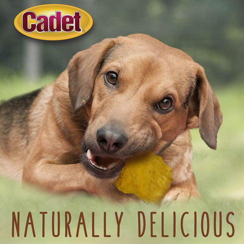 Cadet Premium Grade Beef Hide for Dogs, Rawhide Long Lasting Chews, Chips, Curls & Rolls for All Dog Sizes