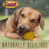 Cadet Premium Grade Beef Hide for Dogs, Rawhide Long Lasting Chews, Chips, Curls & Rolls for All Dog Sizes