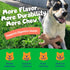 ChewEMS X Bone Dog Chew Toy for Aggressive Chewers Long-Lasting Chicken Flavor Nylon Bone Durable, Rawhide-Free Dental