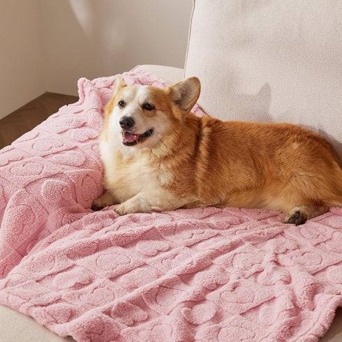 Bedsure Dog Blanket for Large Dogs, Washable Soft Fluffy Coral Fleece, Cozy Cat Blanket, Pink, 40x50IN