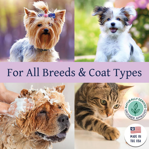 30:1 14 oz Bobbi Panter Soothing Dog Shampoo Tea Tree, Lavender, Cucumber & Oat Protein Natural Formula for Sensitive