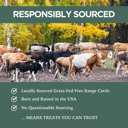 K9 Connoisseur Low Odor Free Slow Roasted Beef Lung Dog Treats, 2.5 Pounds, All Natural, Grain Free for All Breeds