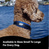 Black Rhino Reflective Dog Collar - Heavy Duty Adjustable Comfort Collar for Large Dogs, Blue/Grey