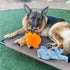 5 Pack 12'' Jalousie Dog Toys Assortment - Plush Squeaky Toys for Medium to Large Breeds - Raccoon, Elk, Hippo, Fox