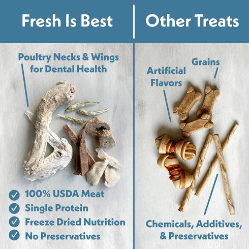 Fresh Is Best Wild Pacific Shrimp Freeze Dried Cat Treats Raw Freeze Dried Shrimp for Cats and Dogs in Resealable