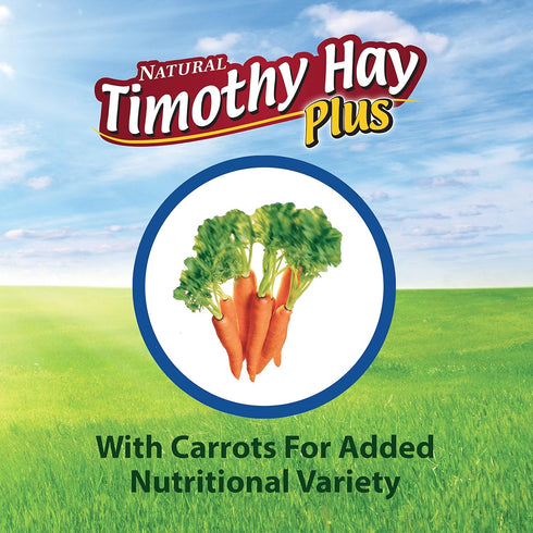 24 oz Kaytee Timothy Hay Plus Carrots for Pet Guinea Pigs, Rabbits & Other Small Animals