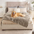 Bedsure Waterproof Dog Blankets for Large Dogs, Calming Cat Blanket, Washable Faux Fur Pet Throw, 60"x80", Brown