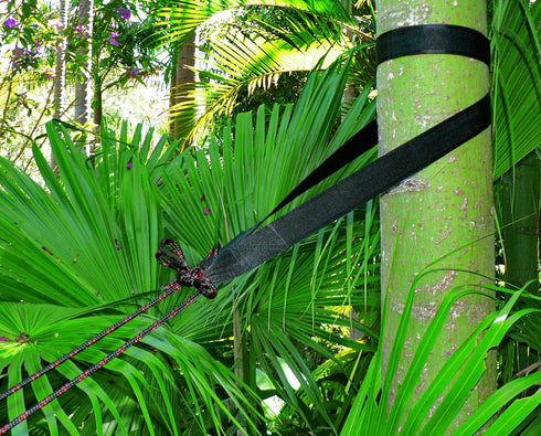 Hammock Bliss XL Extra Long Tree Straps - Super Strong & Durable, Hang Any Hammock with Ease, Set of 2 Straps