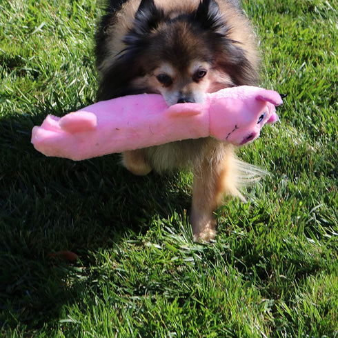 SmartPetLove Snuggle Puppy Tender Tuffs, Water Bottle Cruncher with Puncture Resistant Squeaker, Pig Bottle Cover Toy