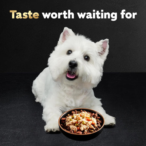 CESAR SIMPLY CRAFTED Adult Wet Dog Food Meal Topper, Beef, Chicken, Purple Potatoes, Peas & Carrots, 1.3 oz, Pack of 10