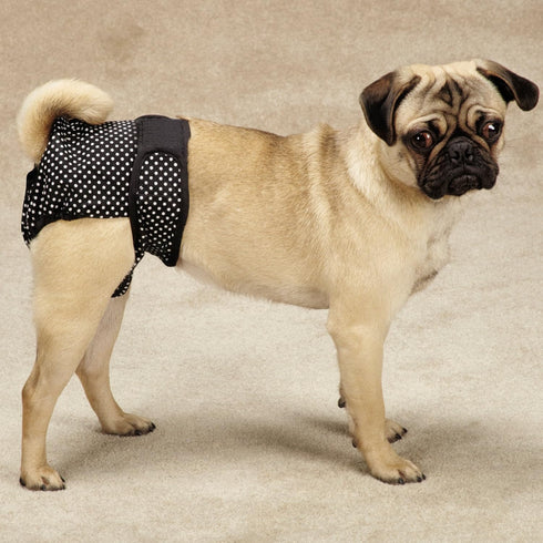 ClearQuest 2-Pack Clear Quest Wetness and Stain Protecting Dog Cover-Ups Dog Diapers