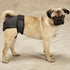 ClearQuest 2-Pack Clear Quest Wetness and Stain Protecting Dog Cover-Ups Dog Diapers