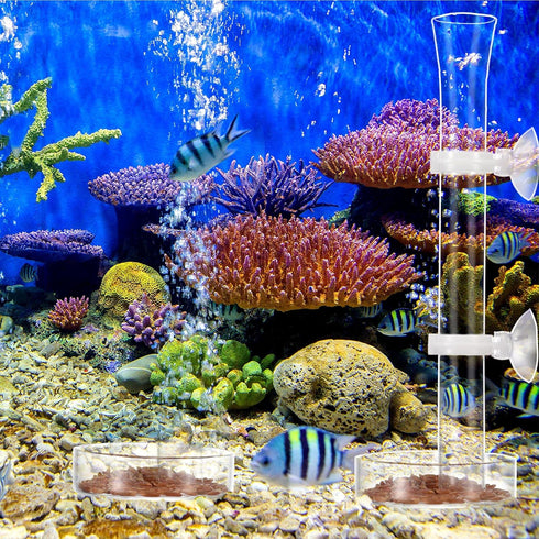 3 Pieces Shrimp Feeding Tube and Dish Set, Glass Shrimp Feeder Tube and 2 Aquarium Shrimp Feeding Dish Bowl