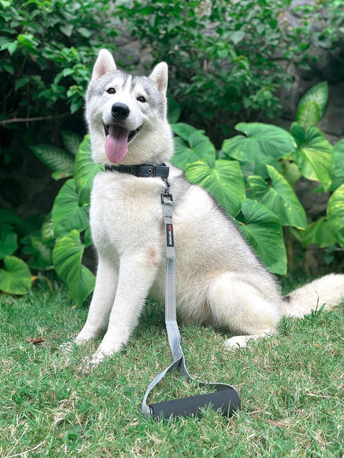 Tuff Pupper Service Dog Leash - 24 Inch Handle for Large Dogs, Perfect for Service Dog Harness & Training