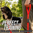 Leash Boss Free Range Long Dog Leash for Large Dogs, 1 Inch Heavy Duty Nylon Training Lead, 30 Ft, Orange