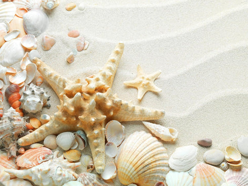 5 lb Natural White Sand for Sandbox, Sand Art, Home Decor, Sensory Bin, Aquarium & More, Odorless, Non-Toxic, Safe