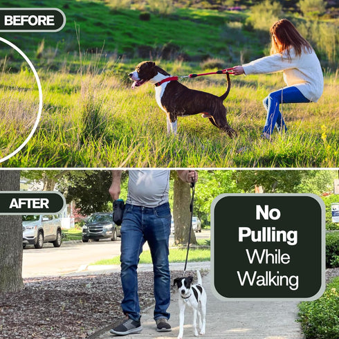 1.5mm Stainless Dog Training Collar for Small Breeds - 8'' Micro Prong Collar for Dogs 6-26lbs, No-Pull Behavior Aid