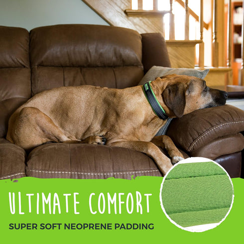Mighty Paw Ultra Soft Dog Collar - Adjustable All-Metal Buckle for Large and Small Dogs, Neoprene Padding