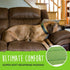 Mighty Paw Ultra Soft Dog Collar - Adjustable All-Metal Buckle for Large and Small Dogs, Neoprene Padding