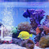 Quiet Aquarium Air Stone Fish Tank - 2 Pieces Nano Air Stone Kit with Control Valve and Suckers for Hydroponic