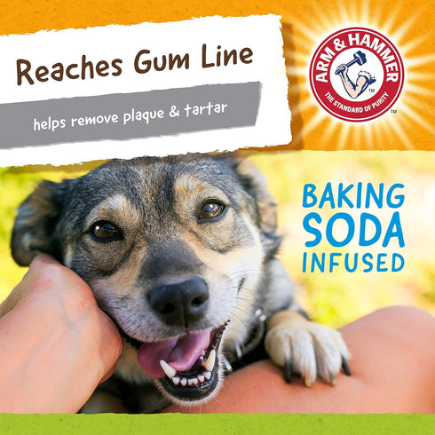 Arm & Hammer for Pets Nubbies Duality Bone Dental Dog Toy, Best Chew Toy for Moderate Chewers - Green Apple