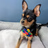 Huxley & Kent Pinwheel for Pets | Equality (Small) | Pride Velcro Collar Accessory for Dogs and Cats