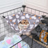 GOMICRAFT Pack 2 Hammock of Hanging Corner with Hooks for Rats, Squirrels, Sugar Gliders, Guinea Pigs, Hamsters