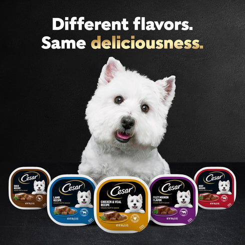 CESAR Adult Wet Dog Food Classic Loaf in Sauce, Breakfast and Dinner Variety Pack (Pack of 12)
