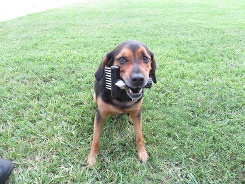 Dog-Pet Aqua Comb