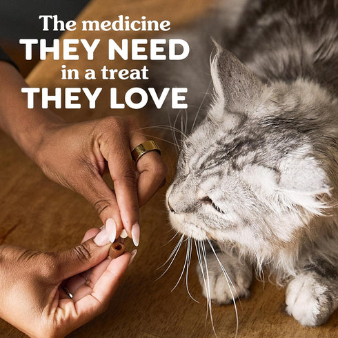 3 oz. (85 Greenies Feline Pill Pockets for Cats Natural Soft Cat Treats, Chicken Flavor, Pouch Treats)