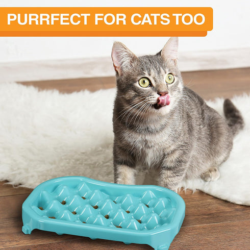 Neater Pet Brands - Neater Slow Feeder Dog Bowl - Fun, Healthy, Stress Free Design Helps Stop Bloat (2.5 Cup,