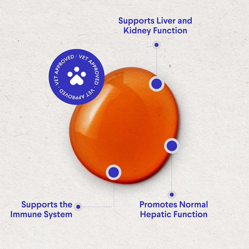 Milk Thistle Liver Support for Dogs, Detox and Hepatic Support with Wild Alaskan Salmon Oil & Curcumin, 2 Oz
