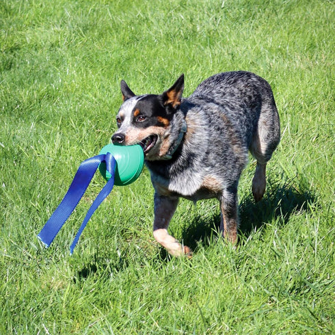 PetKORE 4.75", : KoreFlex Ball & Tail - Green, Dog Toy, Shape Maintaining Rubber, Durable Strap, Treat Stuffing Center