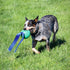 PetKORE 4.75", : KoreFlex Ball & Tail - Green, Dog Toy, Shape Maintaining Rubber, Durable Strap, Treat Stuffing Center