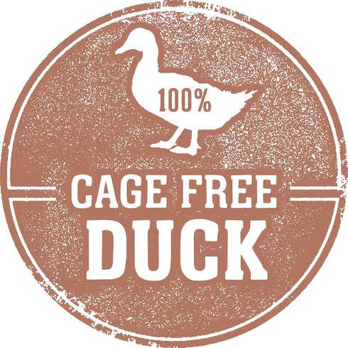 Fresh Is Best Freeze Dried Healthy Raw Meat Treats for Dogs & Cats, Duck Giblets